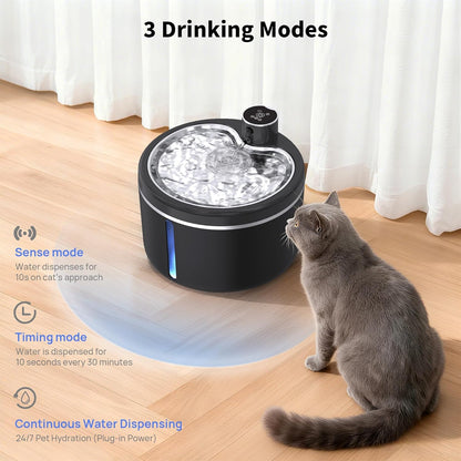Black cat drinking fountain for indoor pets