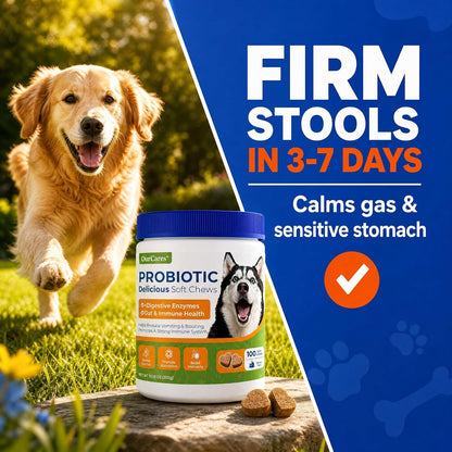 Close up view of the 15 count chicken flavored soft chews for senior dog digestive care.