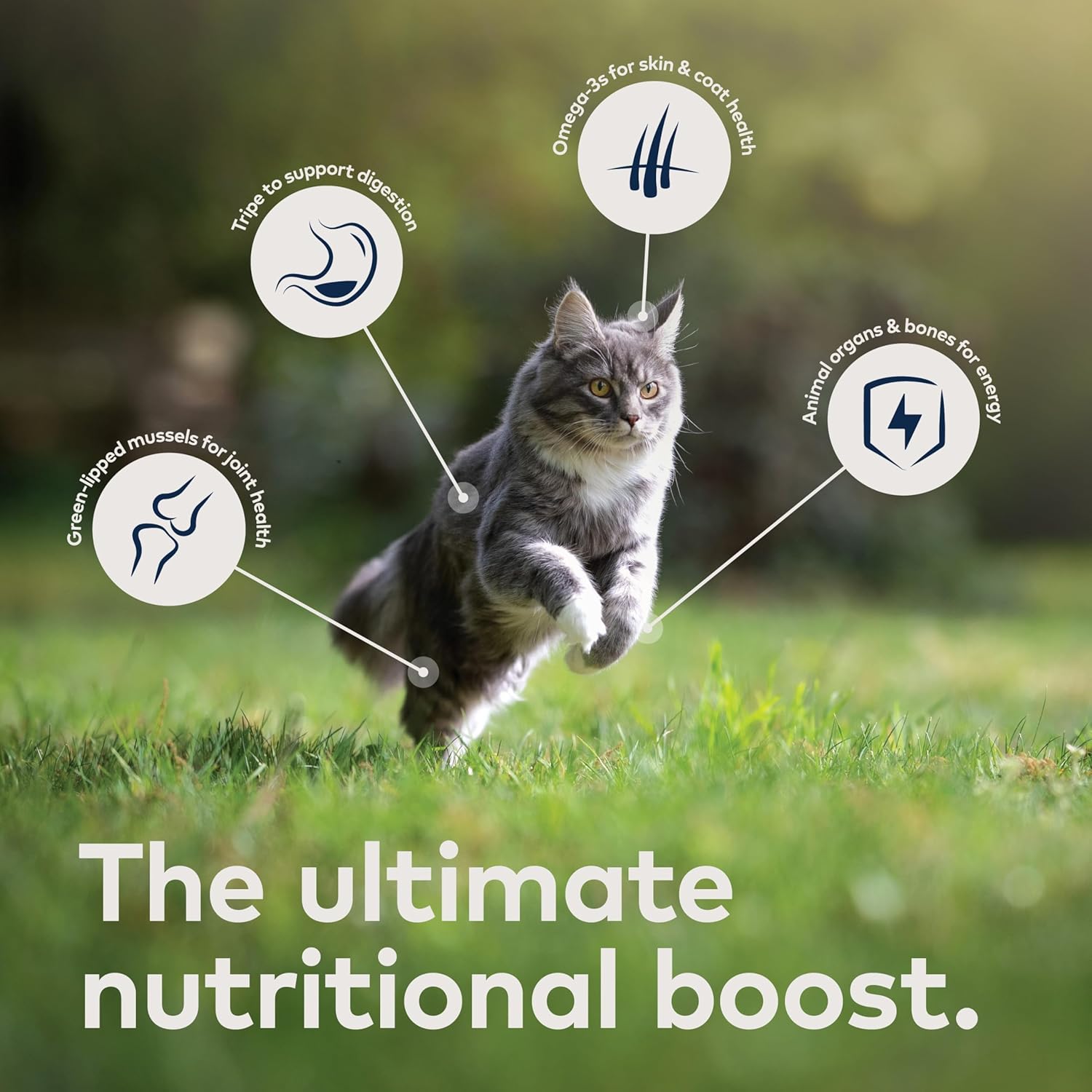 Ziwi Peak cat food packaging side view showing nutritional benefits