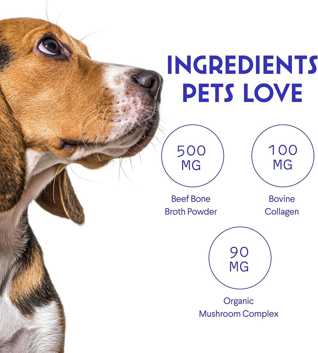 Wonder Paws beef bone broth powder sprinkled over dry dog food kibble
