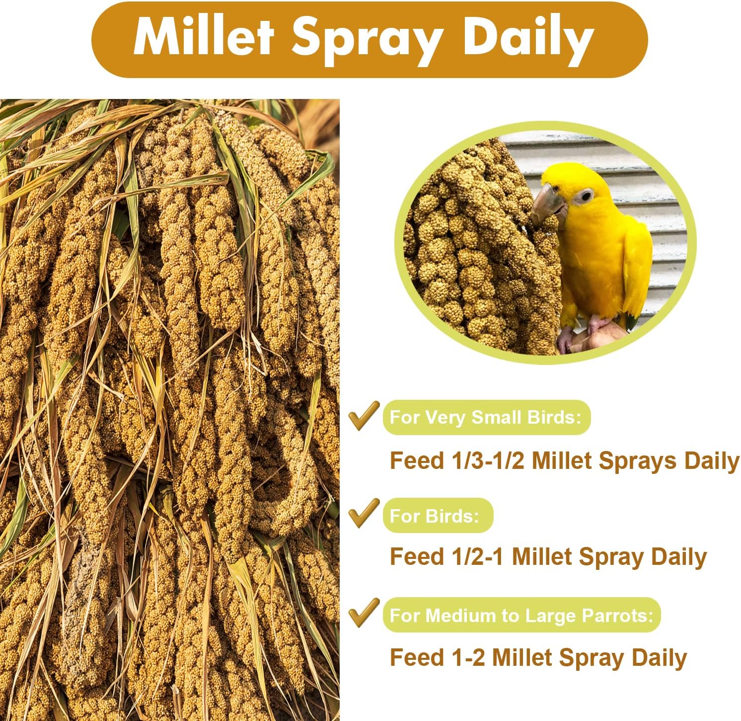 Authentic USA imported Jmxu's millet for parrots
