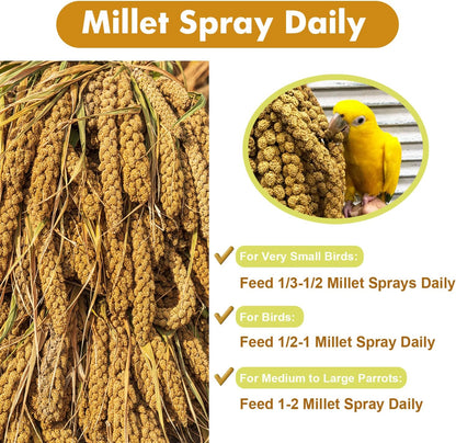 Authentic USA imported Jmxu's millet for parrots