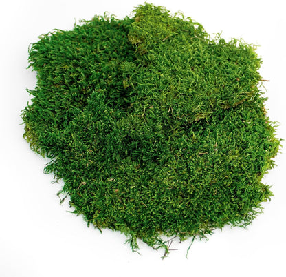 SuperMoss Preserved Sheet Moss Fresh Green flat natural moss layer close up