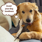 IOKHEIRA interactive pet toy packaging showing durable construction.