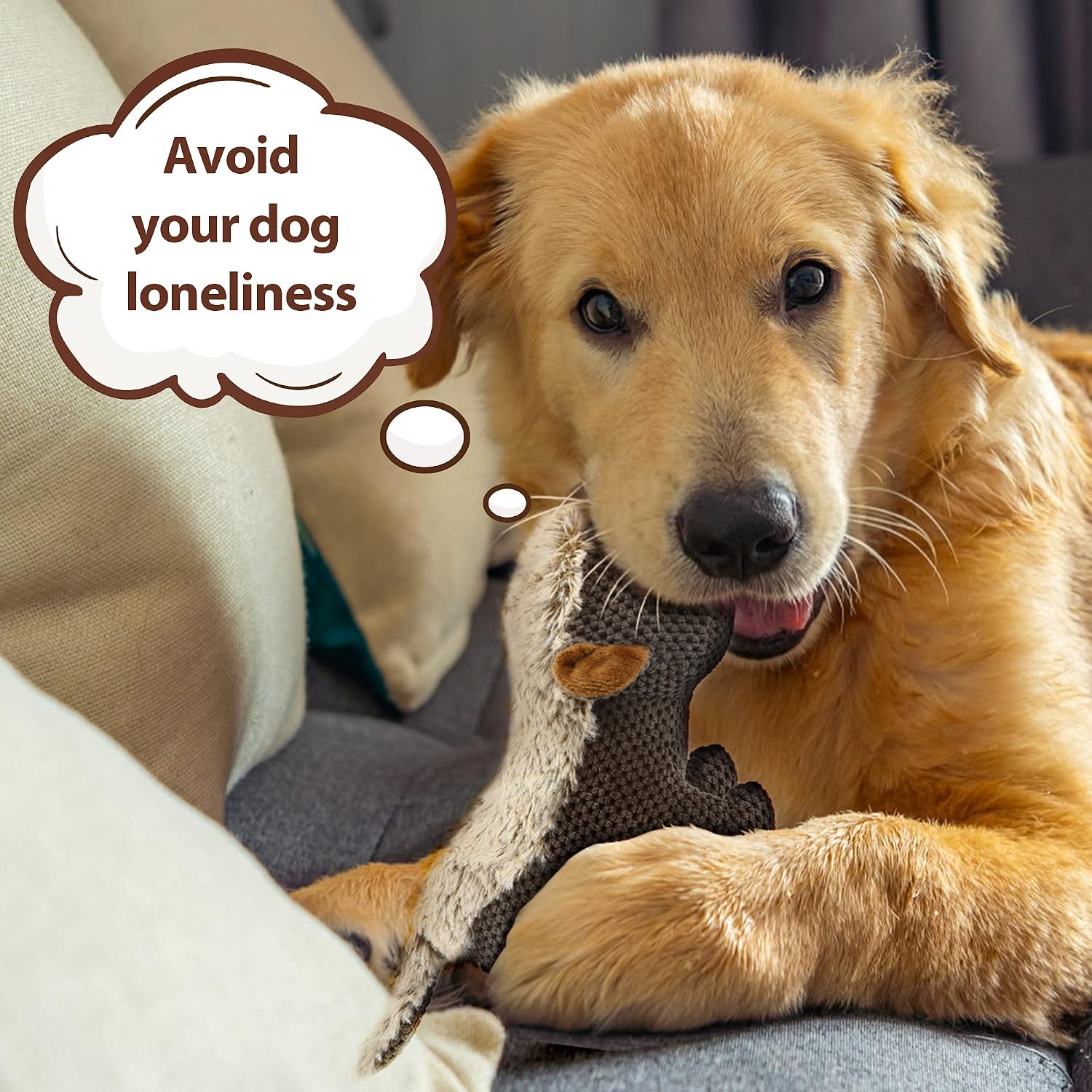 IOKHEIRA interactive pet toy packaging showing durable construction.