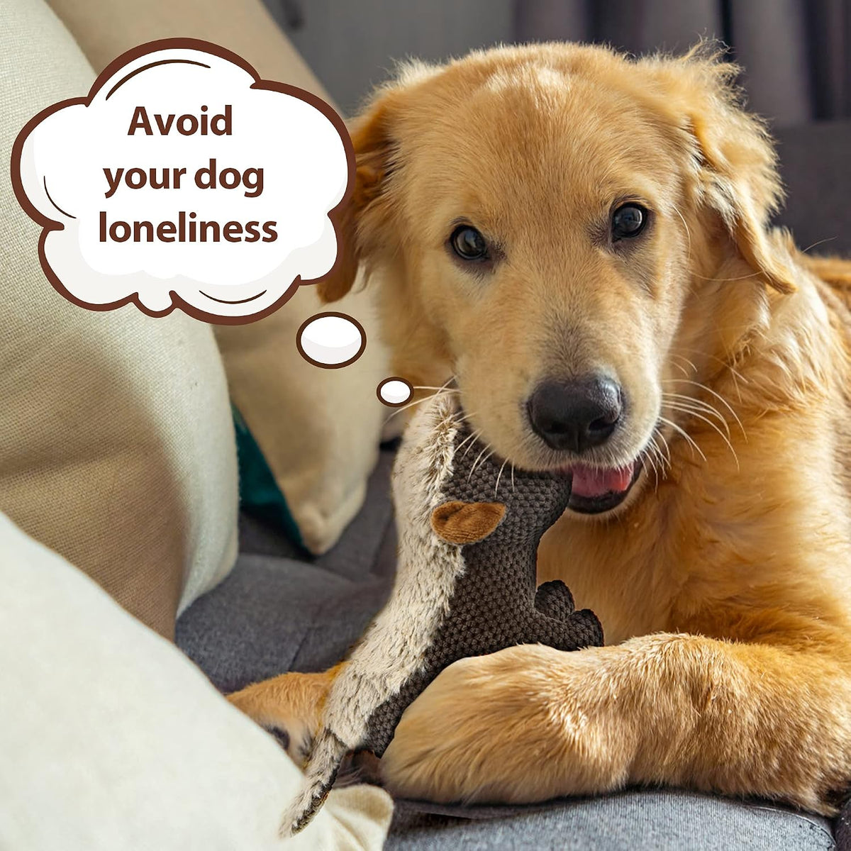 IOKHEIRA interactive pet toy packaging showing durable construction.