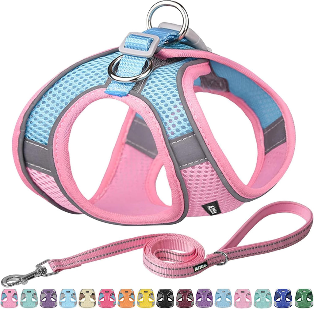AIITLE No Pull Dog Harness and Leash Set, Step in Adjustable Dog Harness with Padded Vest for All Weather, Dog Leash with Soft Padded Handle, Easy to Put on Small and Medium Dogs Beige S - Image 12