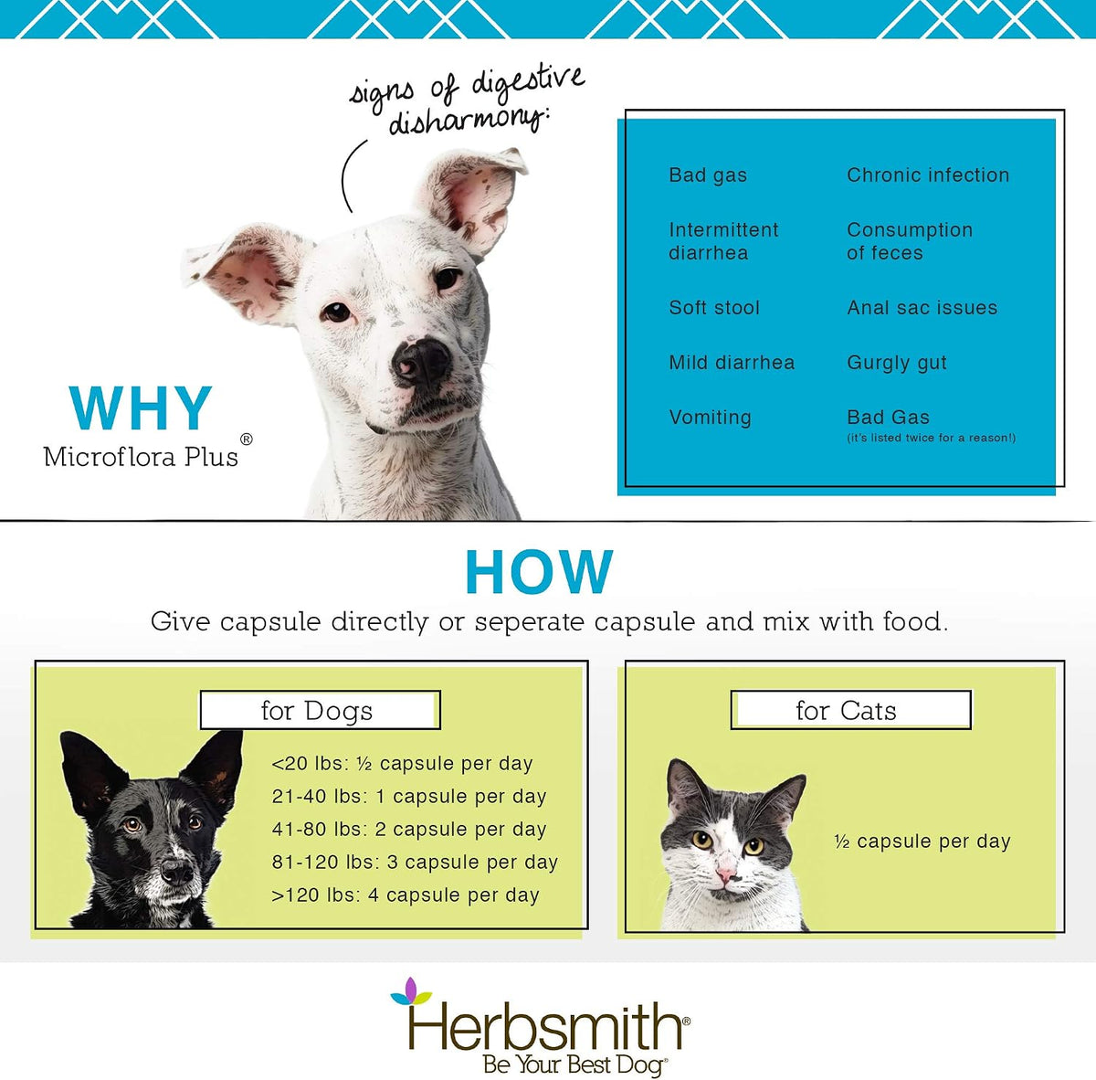 Herbsmith Microflora Plus 30 count cat digestive aid capsules overview