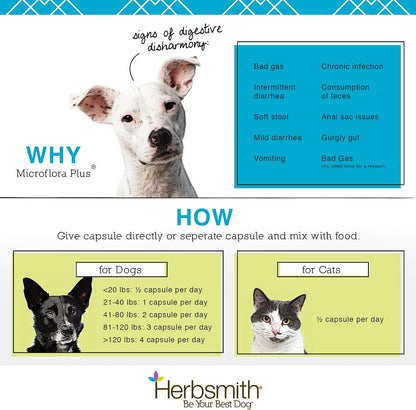 Herbsmith Microflora Plus 30 count cat digestive aid capsules overview