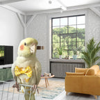 Cockatiel wearing Magnoloran bird diaper and harness combo