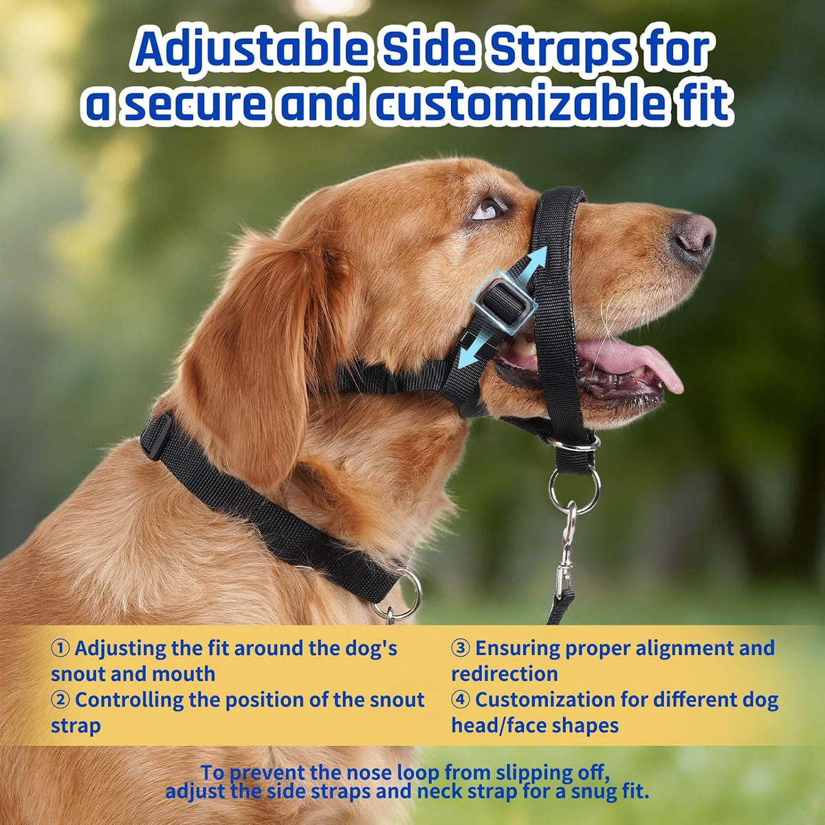Side profile of a golden retriever wearing the Barkless head halter to demonstrate the proper beneath the eye fit