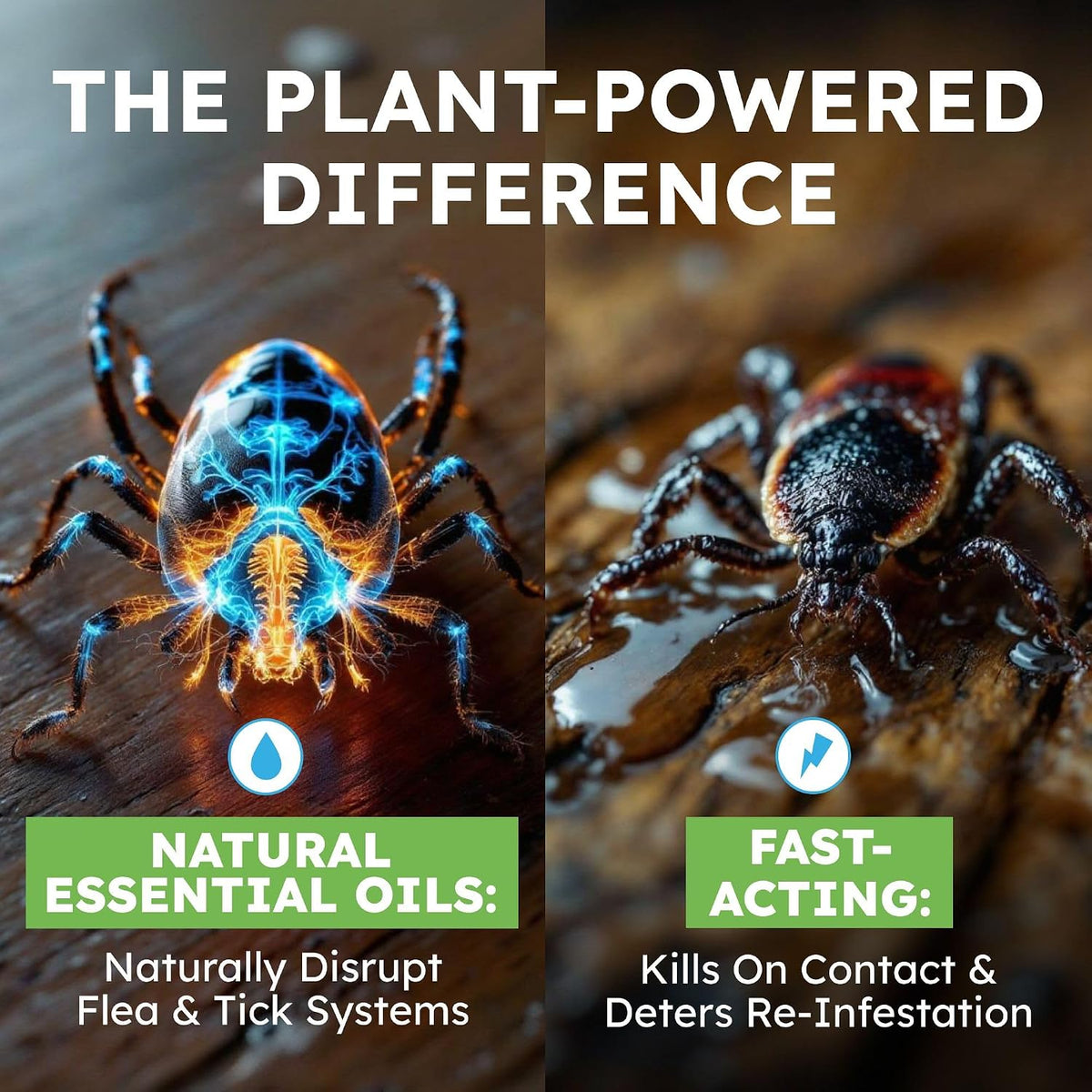 BugMD pet safe flea treatment showing essential oil active ingredients