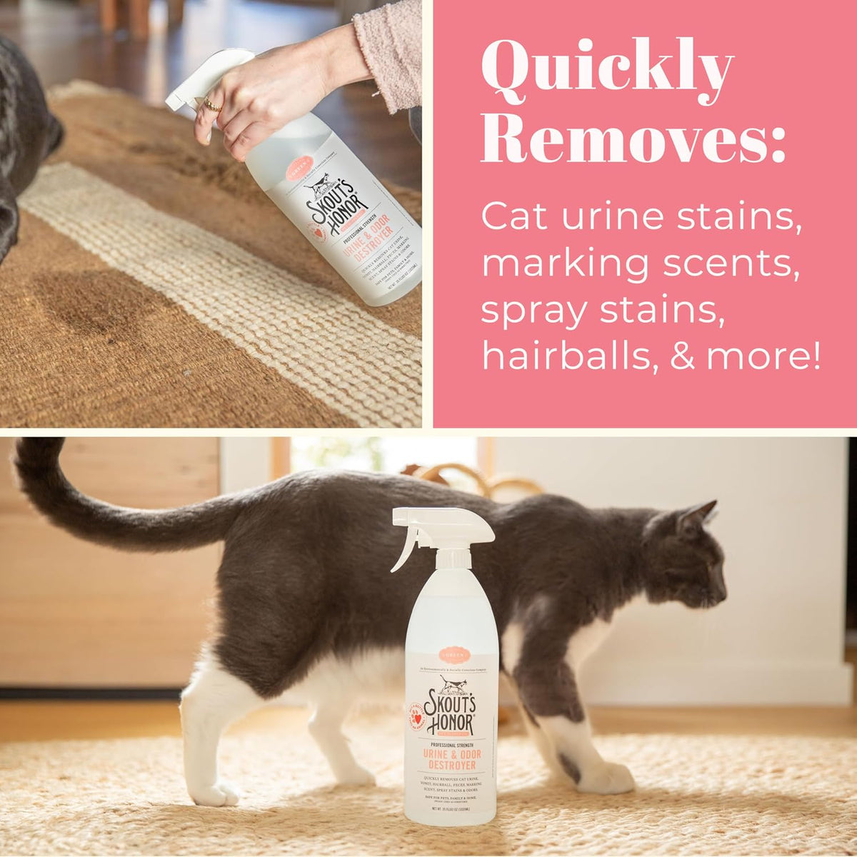 Eco friendly non enzyme pet urine cleaner spray for upholstery and fabrics