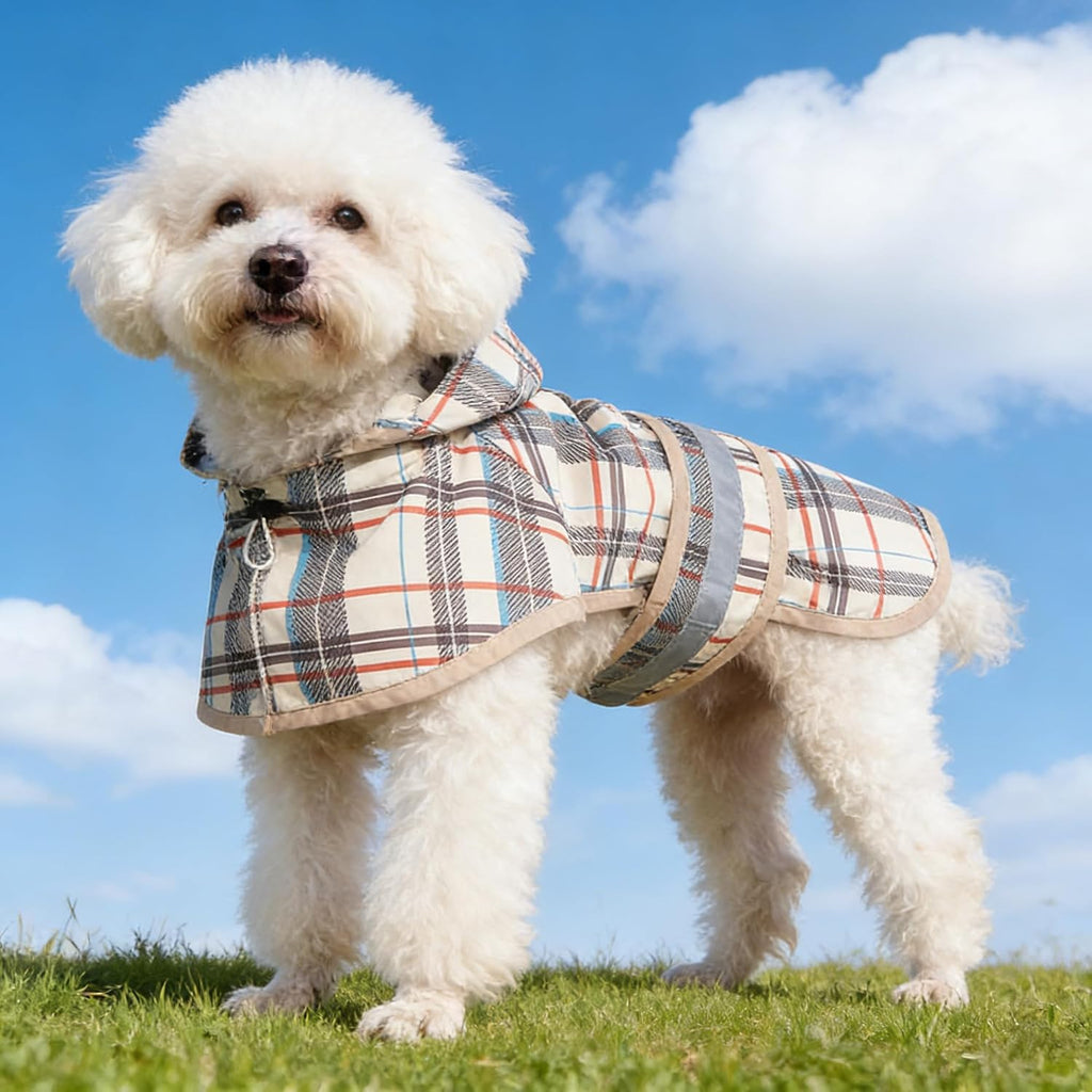 Waterproof full body small pet jacket with built-in hood on a white background