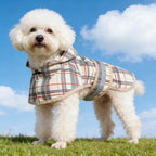 Waterproof full body small pet jacket with built-in hood on a white background