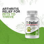 MediNatura T-Relief Pet Arthritis packaging showing Arnica and natural homeopathic active ingredients