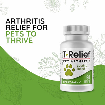 MediNatura T-Relief Pet Arthritis packaging showing Arnica and natural homeopathic active ingredients