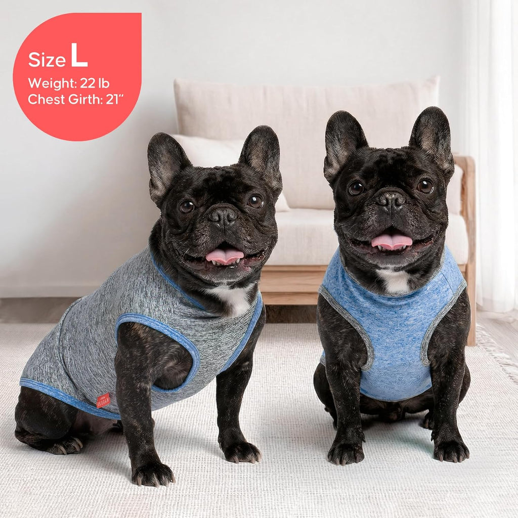 Small dog active in Kyeese sun protection pet clothing