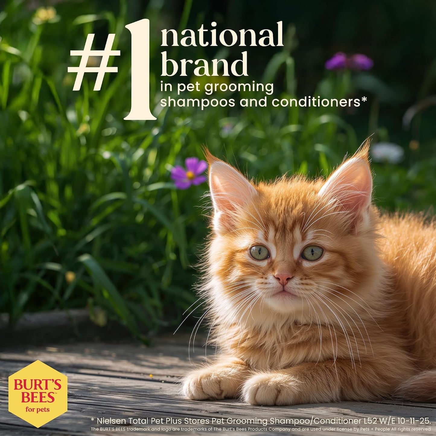 Burt's Bees imported USA pet grooming wipes for indoor cats