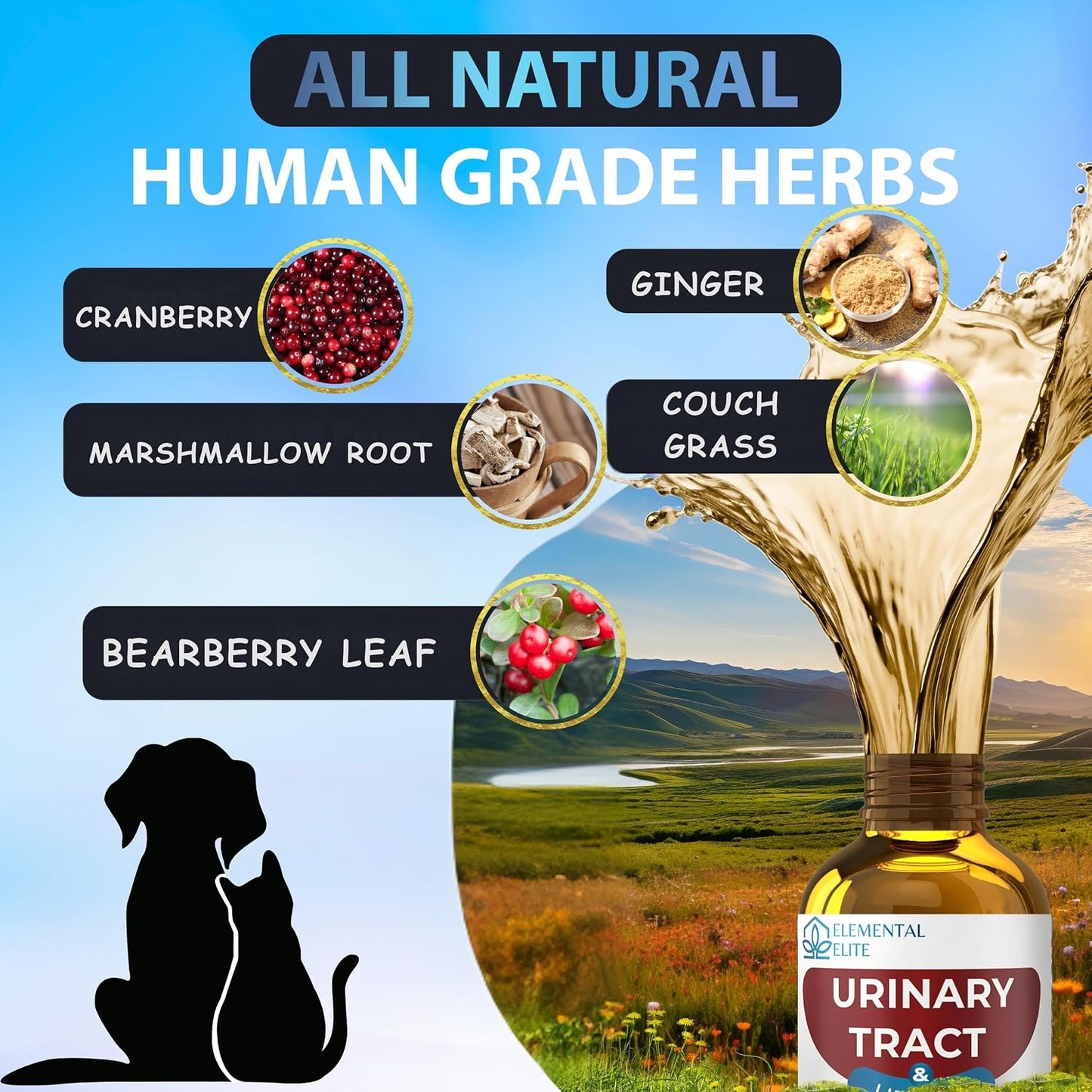Dog and cat urinary tract treatment liquid formula for easy meal mixing