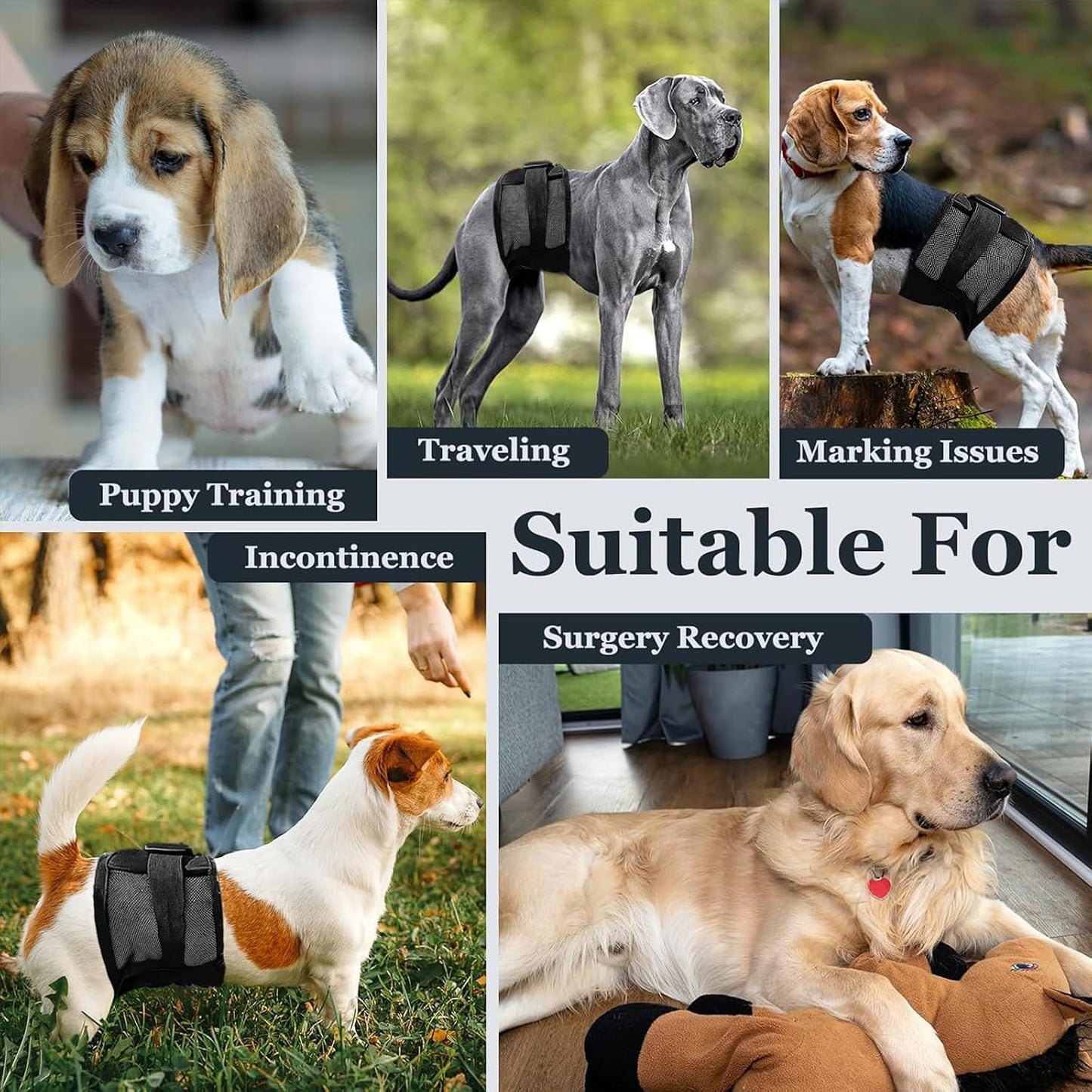 Colenumone male pet belly band multi layer absorbent core structure