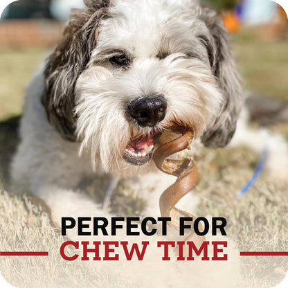 Redbarn premium seven inch beef chews for puppies and adult dogs