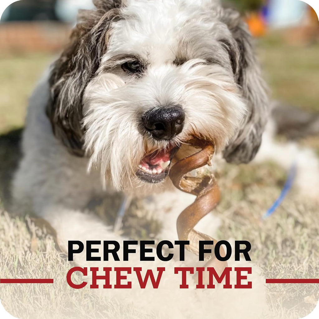 Redbarn all natural healthy beef dog treats multi pack bags