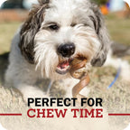 Redbarn all natural healthy beef dog treats multi pack bags