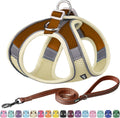 Aiitle no pull dog harness and leash set beige small front view on a puppy