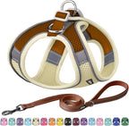 Aiitle no pull dog harness and leash set beige small front view on a puppy