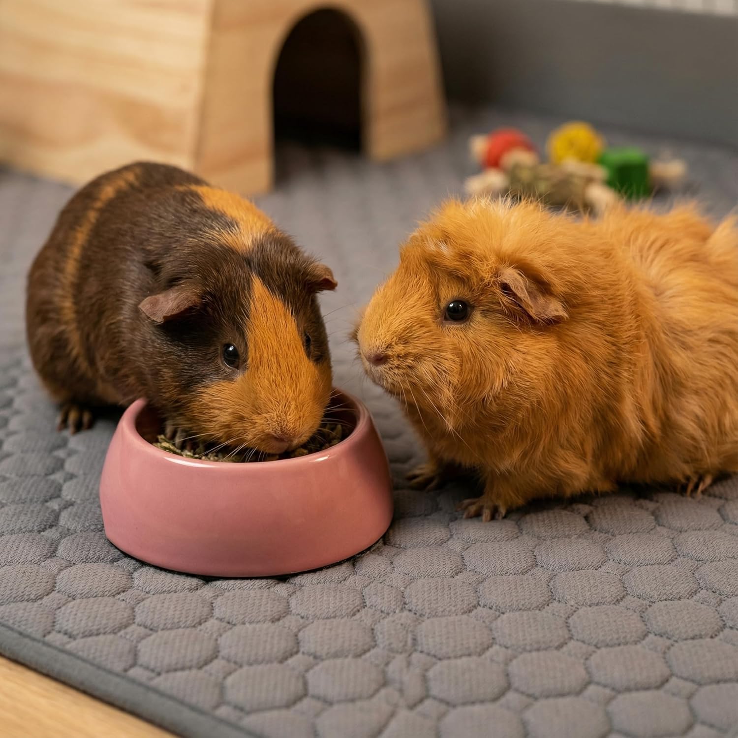 Five layer protection structure of pet cage mat