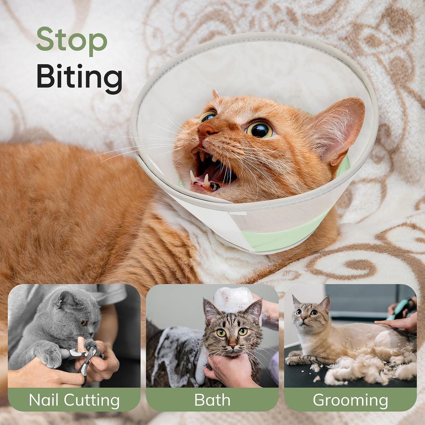 Waterproof liner interior of the soft kitten cone collar showing liquid resistance