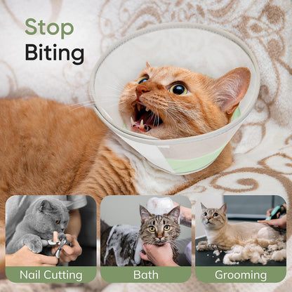 Waterproof liner interior of the soft kitten cone collar showing liquid resistance
