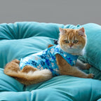 COZYDOODZ premium kitten recovery suit showing the neat durable stitching and edges.