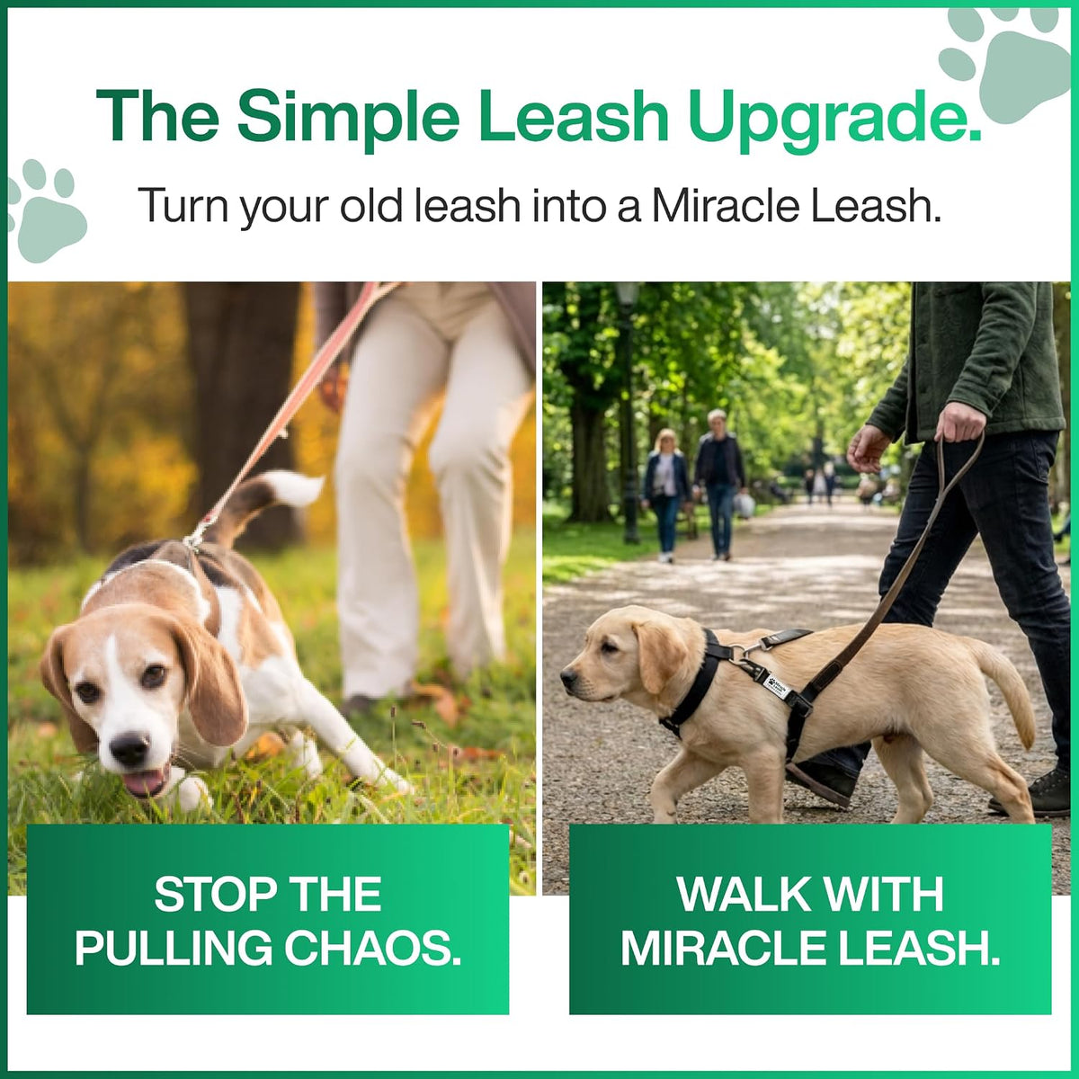 MiracleLeash authentic imported USA dog training accessory for gentle correction walks.