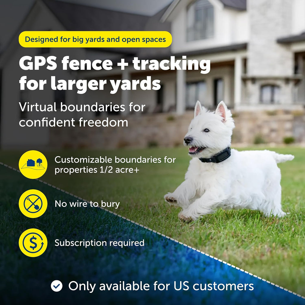 PetSafe virtual boundary tracking collar worn by a dog in a spacious outdoor yard.