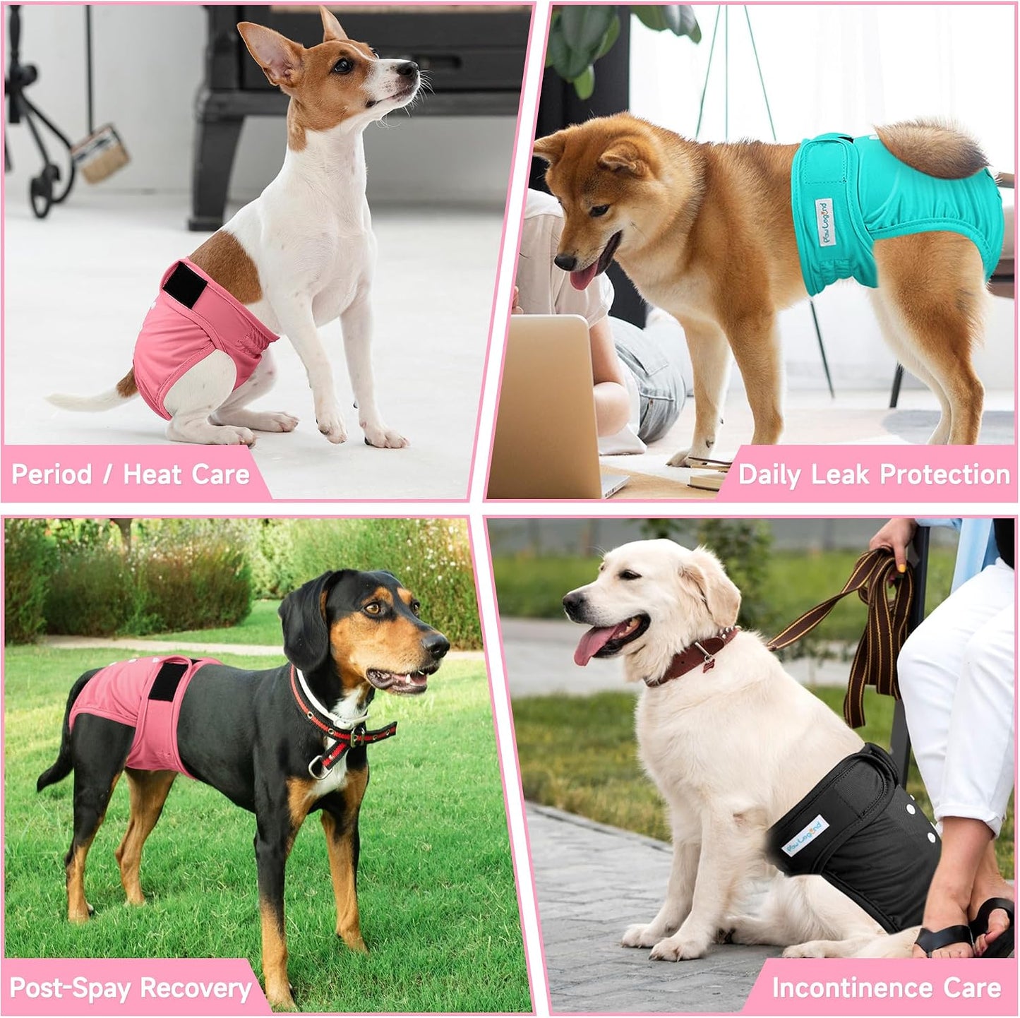 Paw Legend washable pet diaper showing adjustable sizing snap buttons