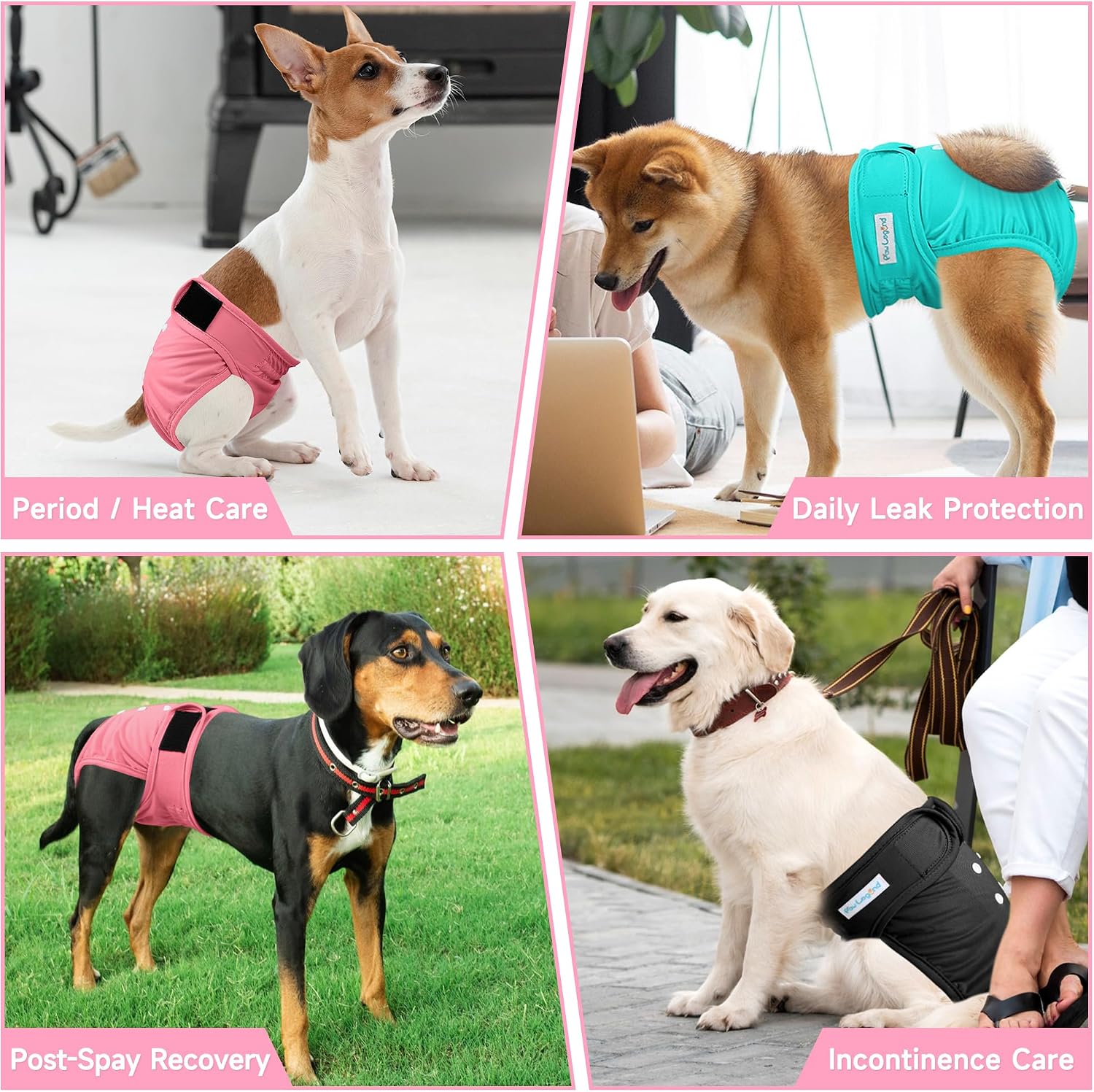 Paw Legend washable pet diaper showing adjustable sizing snap buttons
