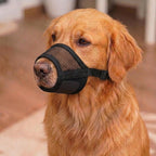 OHNSO Adjustable Dog Muzzle front view on medium sized dog
