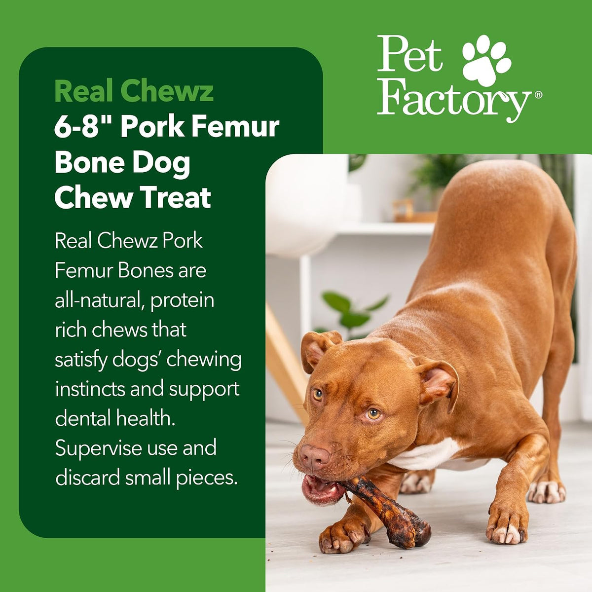 6 to 8 inch natural pork femur bone for dogs
