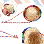 Gtziqa reptile apparel mini sombrero hat on textured background