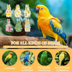 6Pcs Bird Diaper - Reusable Parrot Diapers with Waterproof Inner (Medium) - Image 3