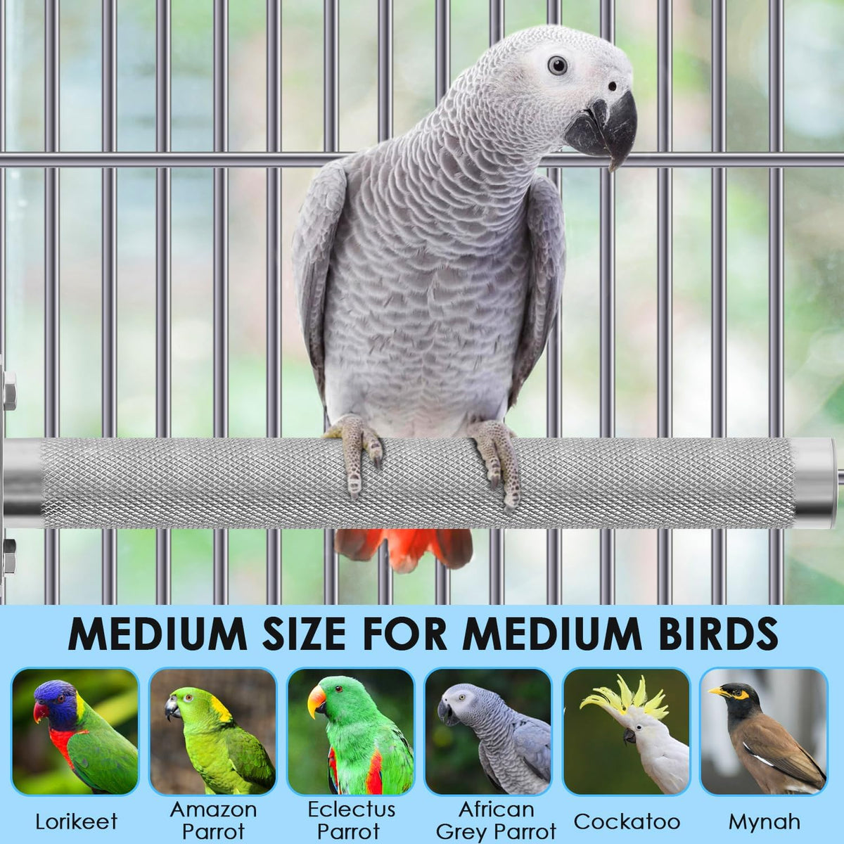 KATUMO Parrot Perch - Stainless Steel African Grey Perch Bird Cage Accessories for Small to Large Parrots (11.8 x 1.2 inch) - Image 6