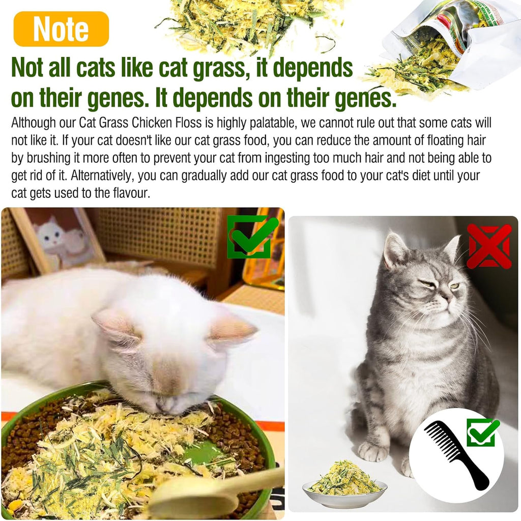 Glopawear premium kitten snacks close up of crunchy texture for feline dental care.