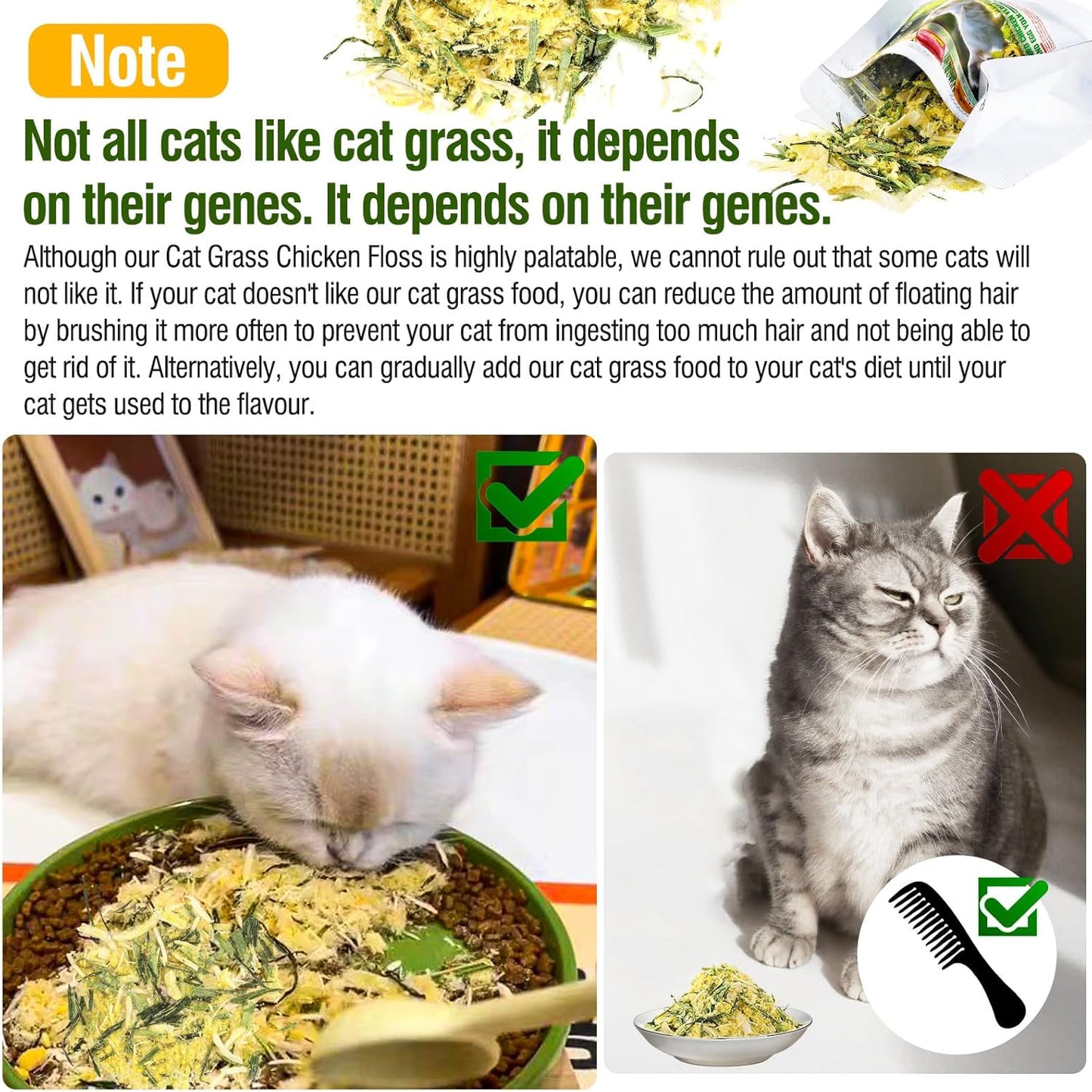 Glopawear premium kitten snacks close up of crunchy texture for feline dental care.
