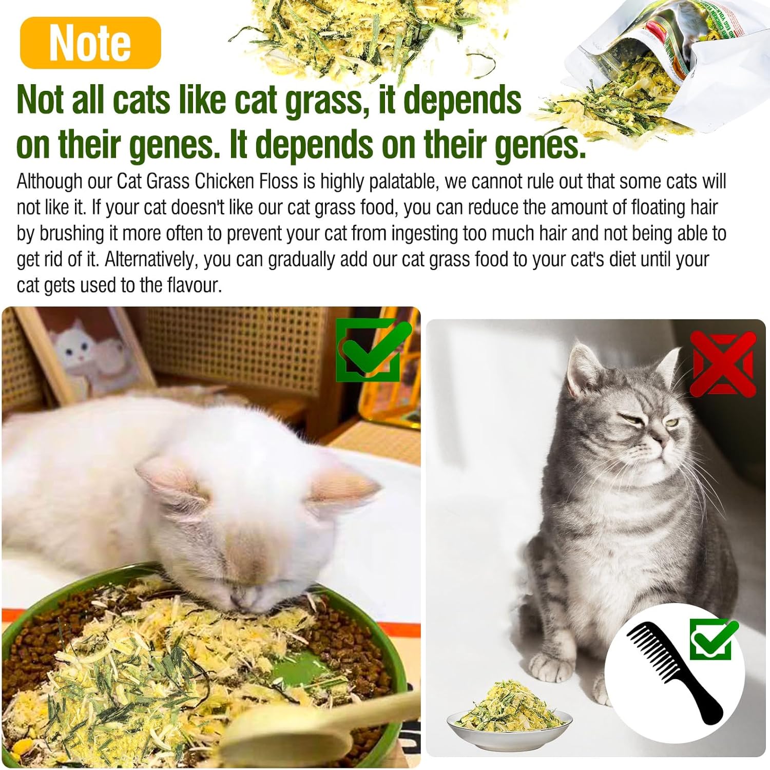 Glopawear premium kitten snacks close up of crunchy texture for feline dental care.