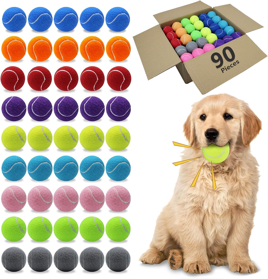 Magicorange Dog Tennis Balls, 20 Pack 2.5 inch Floatable Squeaky Tennis Balls for Fetch Exercise, Natural Rubber Squeaky Dog Balls Training Safe (Multicolor) - Image 12