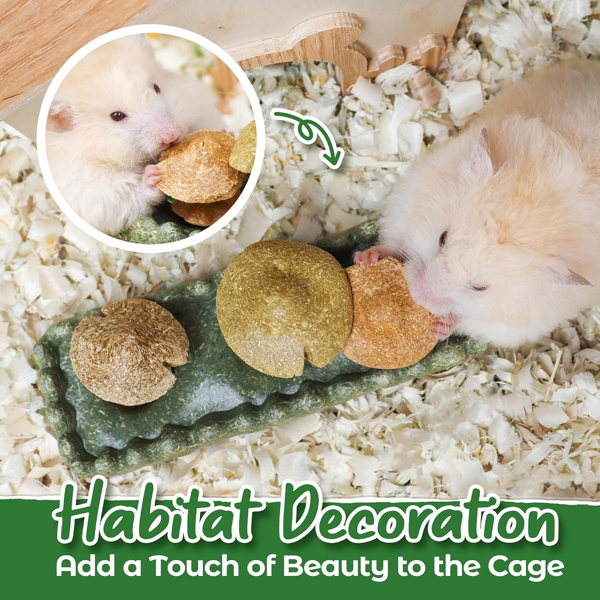 Close up view of the plant based ingredients in the TEEWY guinea pig toy pack.