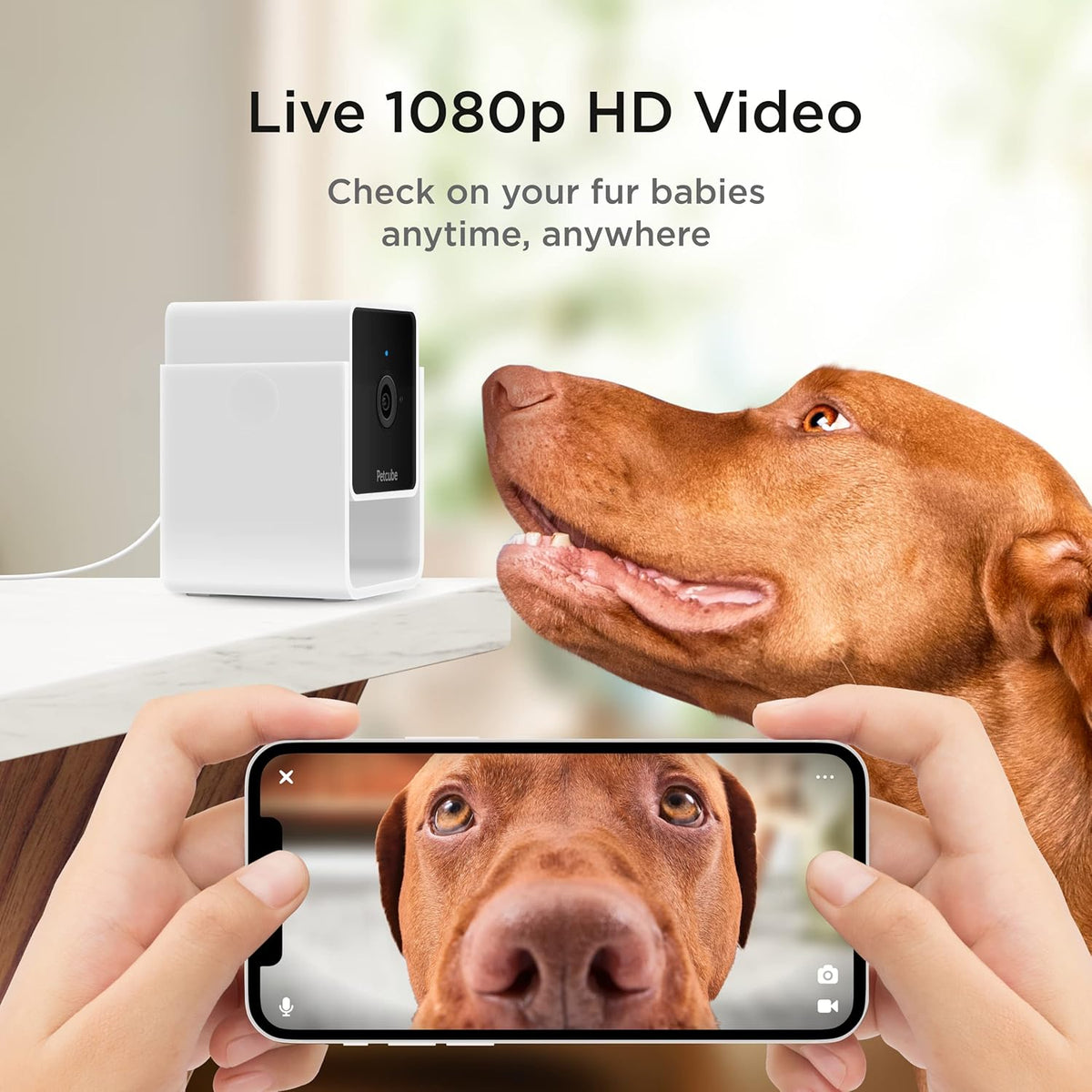 Petcube Cam pet monitor camera displaying the wide angle lens and magnetic base