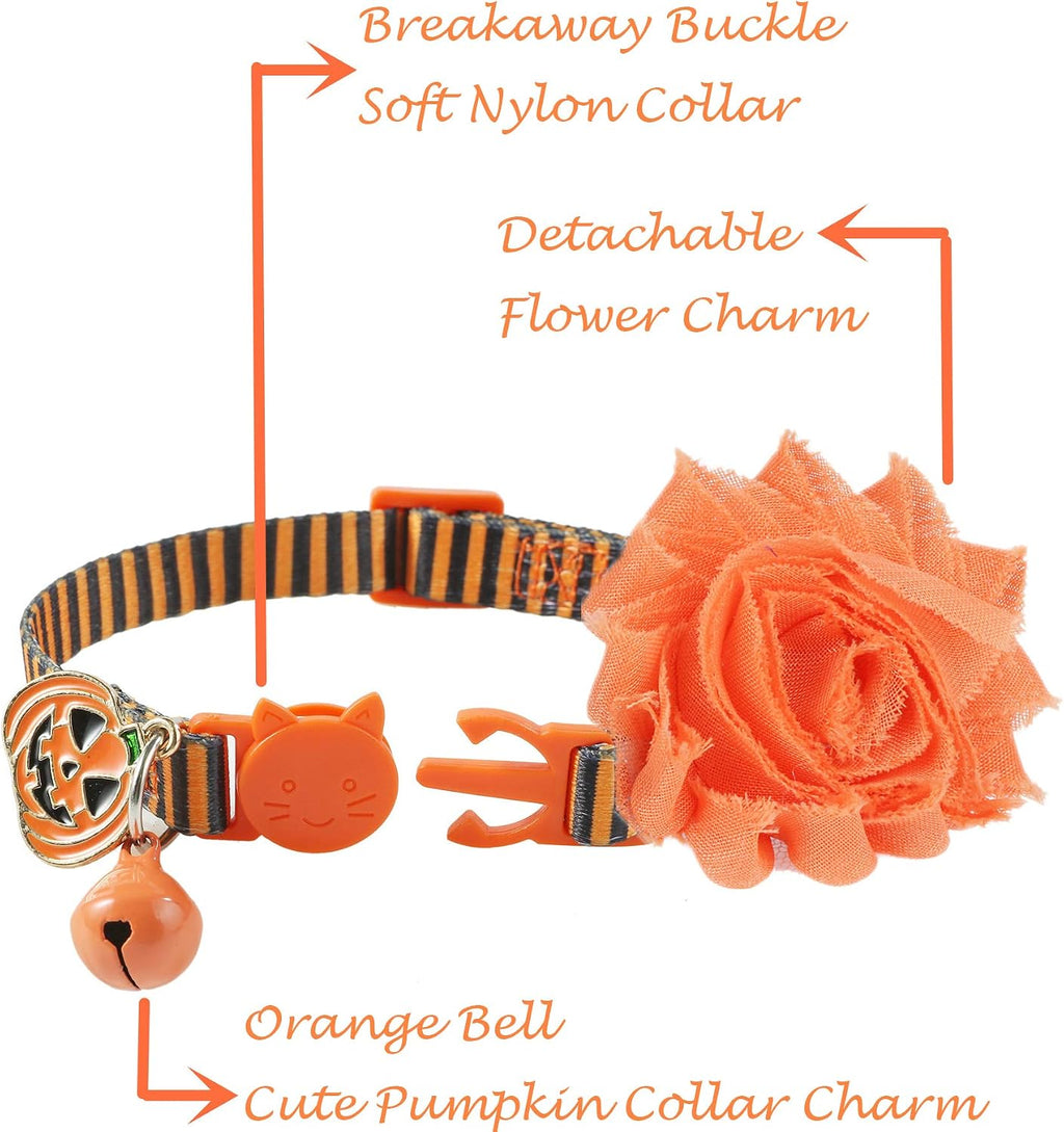 Close-up of the pumpkin charm and detachable flower on the cat collar